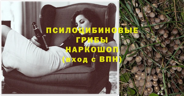 apvp Магас